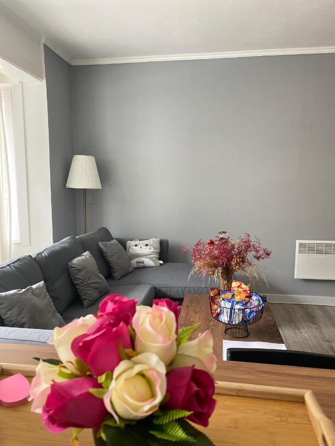 Appartement אוסטנדה מראה חיצוני תמונה