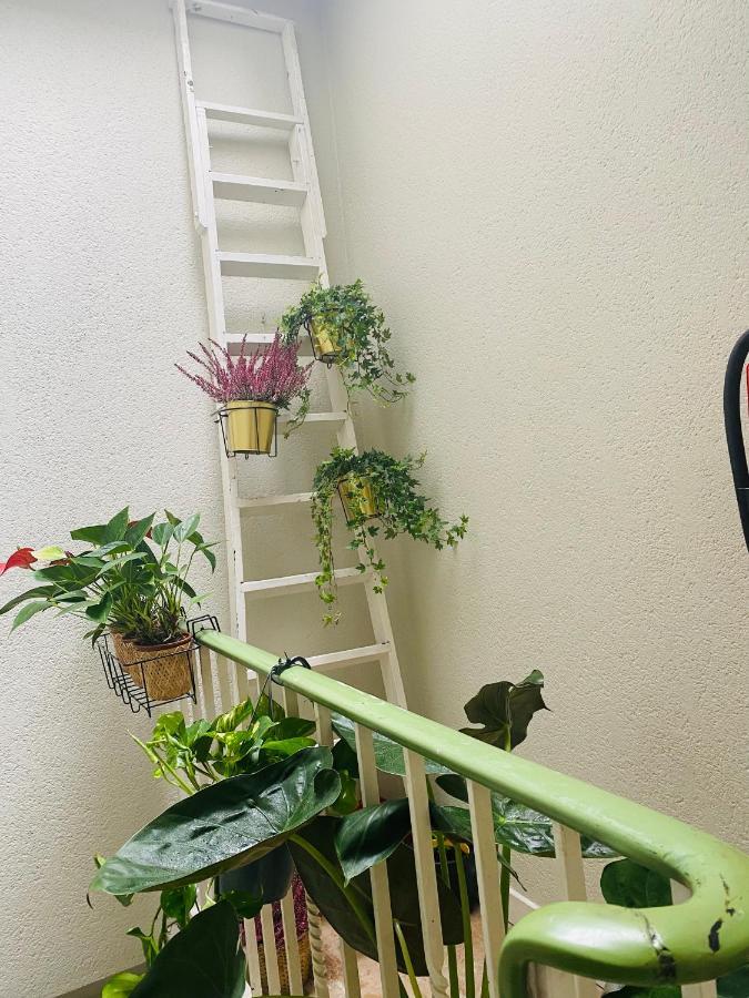 Appartement אוסטנדה מראה חיצוני תמונה